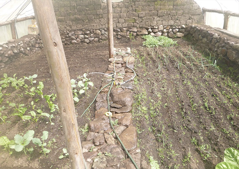 El nuevo invernadero Este invernadero fue construido por Moritz junto con los pobladores de Marampaqui, Perú