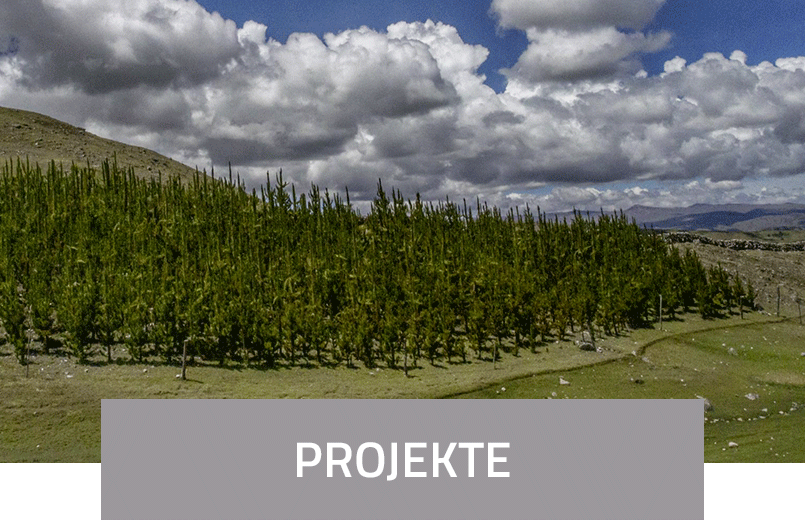 Projekte